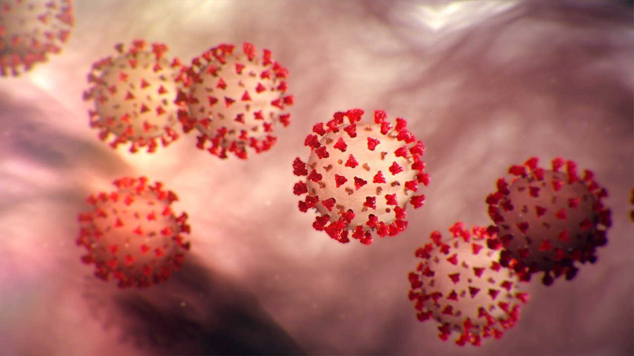 Protect Yourself, Family and Loved Ones During the Pandemic